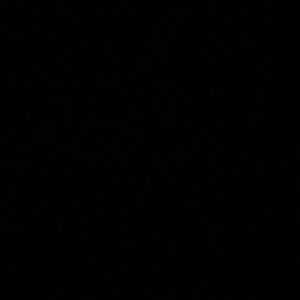 Meet your Posher, Suzanne